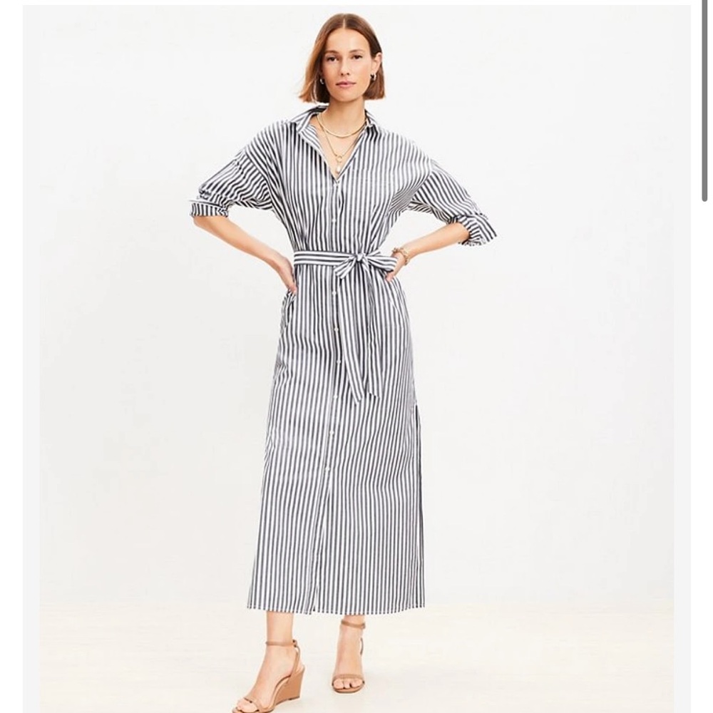 Loft Belted Striped Poplin Shirt Dress
